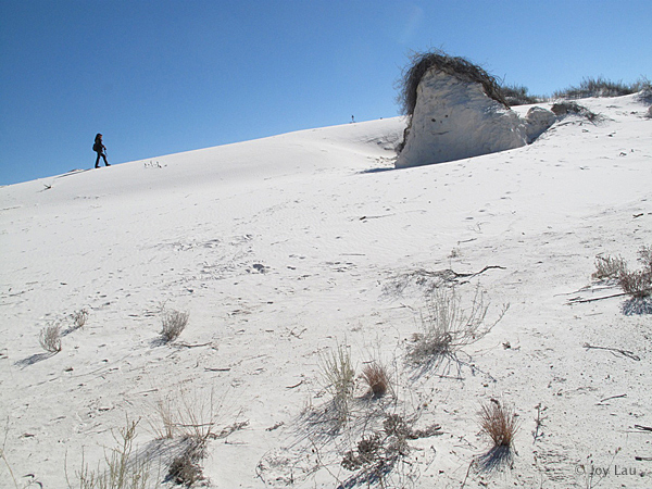 GenevieveHafnerabout@White-Sands